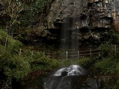 -龙苍沟森林公园