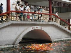 -番禺宾馆丽苑厅