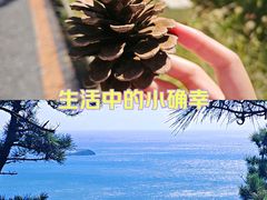 -莲花山观景台