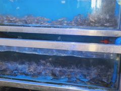 -八仔大富楼·河鲜(西江店)