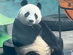 -石家庄市动物园