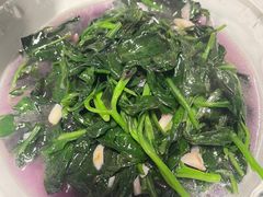 -全乐鱼馆·淳牌有机鱼直营店