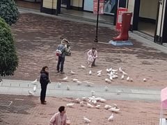 -王府井奥莱临潼小镇(临潼店)