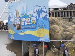 -秦皇岛乐岛海洋王国