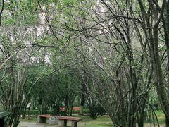 -塔子山公园