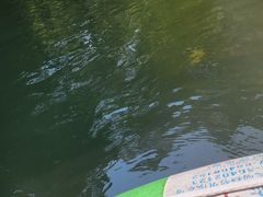 -大观园昆山峡漂流