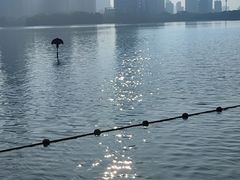 -天鹅湖体育公园