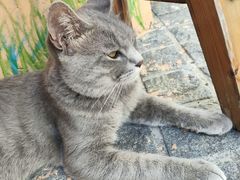 -猫岛主趣味餐厅(鼓浪屿店)