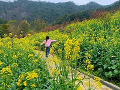 -广州市石门国家森林公园