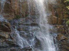 -九龙江国家森林公园