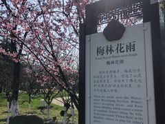 -狼山风景名胜区