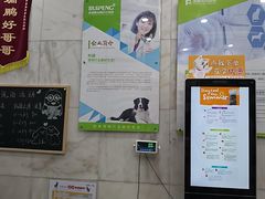 -瑞鹏宠物医院华南总院·夜诊·心脏科·骨科