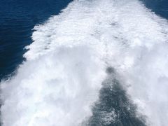 -黄金海岸