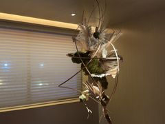 -宴武夷·匠心闽味(印象大红袍店)