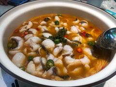 青花椒味砂锅鱼-青花椒花椒鱼(合生汇店)