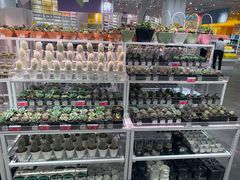 -KKV(深圳宏发大仟里店)