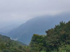 -江南天池
