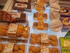 -蒲公英(五里店)