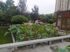 -济宁富力万达嘉华酒店·美食汇自助餐厅