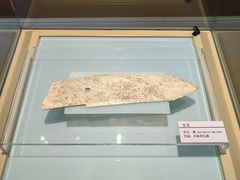 -安阳博物馆
