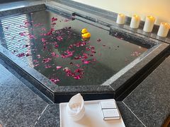 -春晖园度假酒店温泉