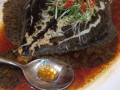 清蒸多宝鱼-旺顺阁海鲜广场(亚运村店)