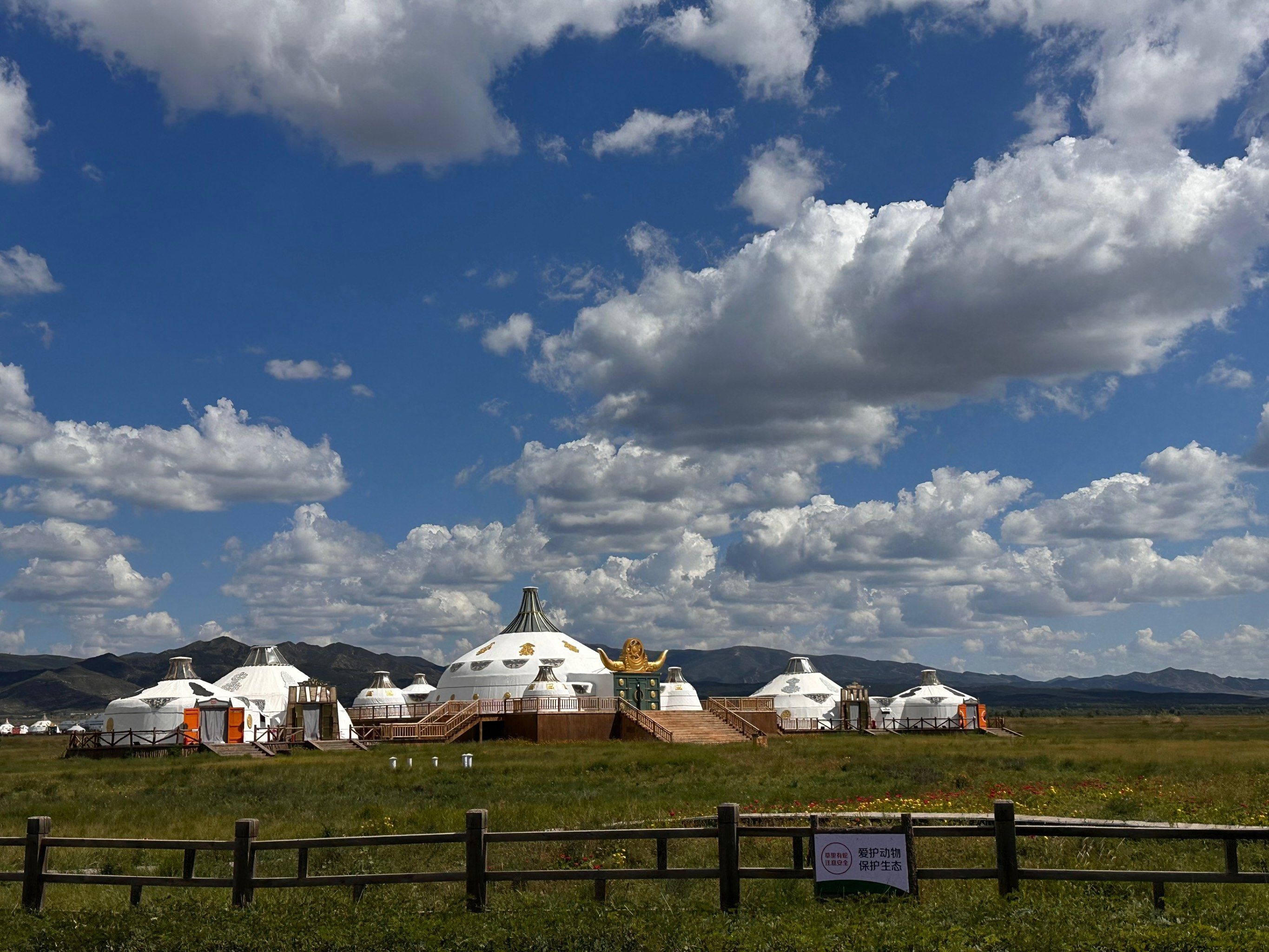 敕勒川草原#呼和浩特的草原#蓝天白云下的草原