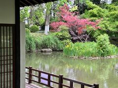 -新洲生态园