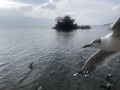 -小普陀