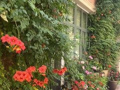 -小饕荟养生火锅(仁和·熙春郡店)