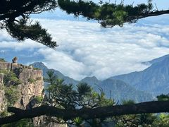 -黄山风景区