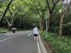 -紫金山山顶公园