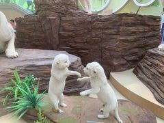 -陕西自然博物馆