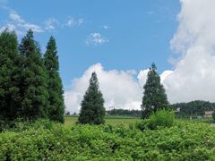 -玉舍国家森林公园