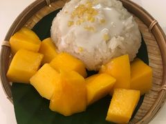 -GOGO Plate(成都太古里店)