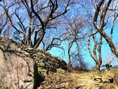 -广州市流溪河国家森林公园