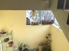 -Jo's Garden