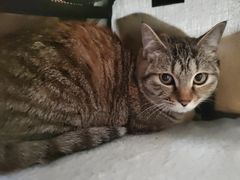 -东方动物医院·宠保定点·骨科·转诊中心(春城路·昆明站分院)