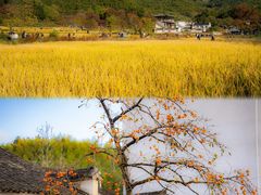 -塔川景区