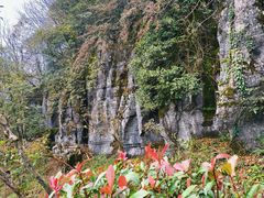 -山王坪喀斯特国家生态公园