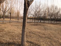-东郊湿地公园