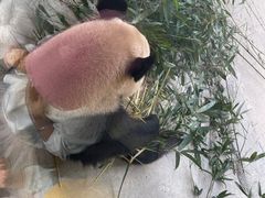 -杭州野生动物世界
