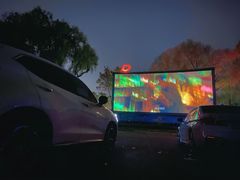 -枫花园汽车电影院(朝阳公园店)