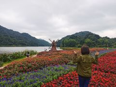 -广州市石门国家森林公园
