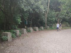 -紫金山山顶公园