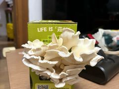 -芸山季·云南野生菌火锅(人民广场来福士店)
