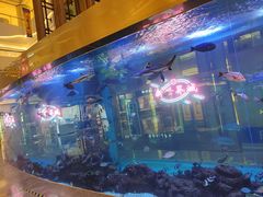 -SFC上影影城(新世界店)