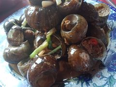 -生态苑农庄(十里画廊遇龙河店)