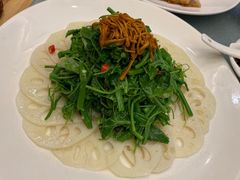 -东哥紫阳蒸盆子(旺座·现代城店)
