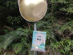 -广州白江湖森林公园